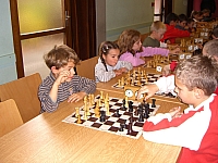 CEJCA_aut_02